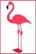 flamingo800x1200.jpg
